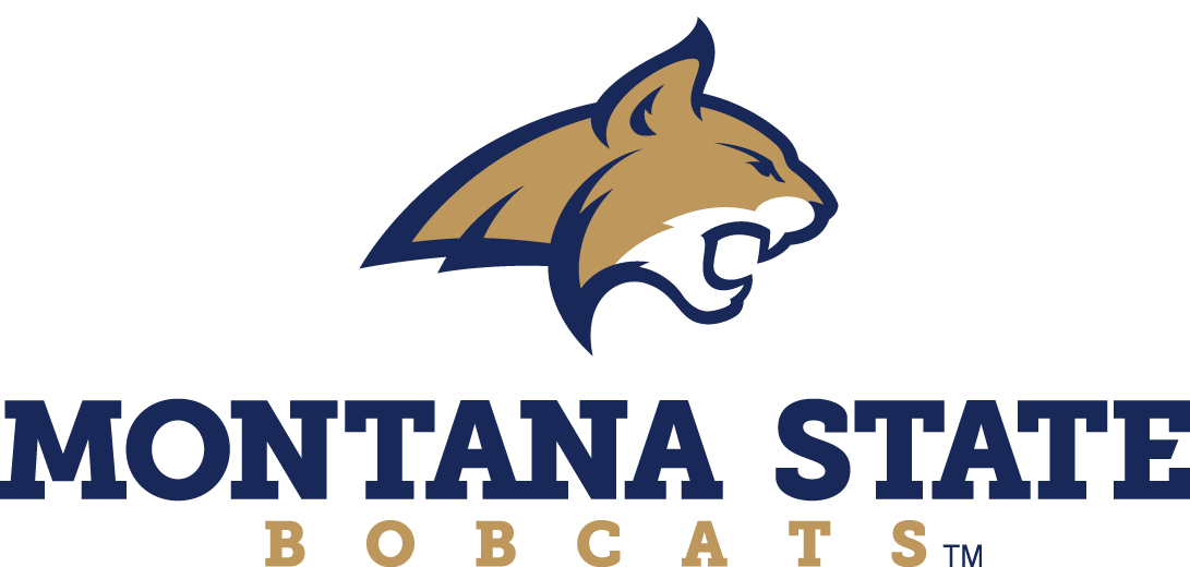 Montana State Bobcats 2013-Pres Alternate Logo 02 iron on paper